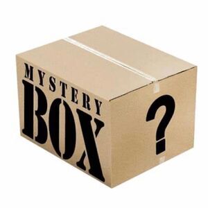 Mystery Box Mix of Men’s, Women’s, and Girl’s Clothes (mostly tops)